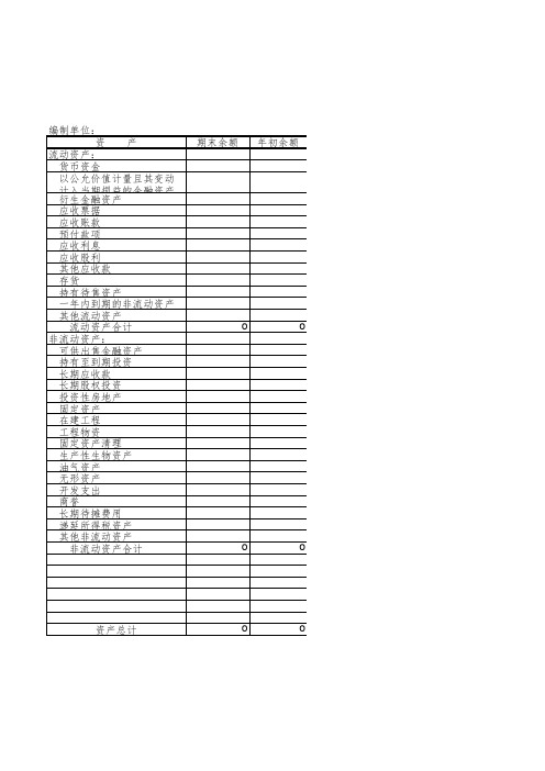 e cel一般企业财务报表格式 资产负债表