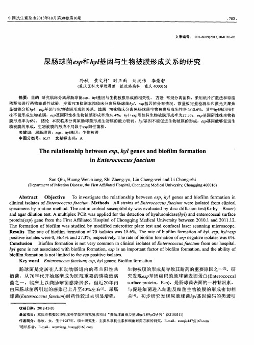 屎肠球菌espt和hyl基因与生物被膜形成关系的研究