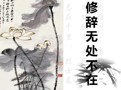 修辞手法(正式)ppt课件