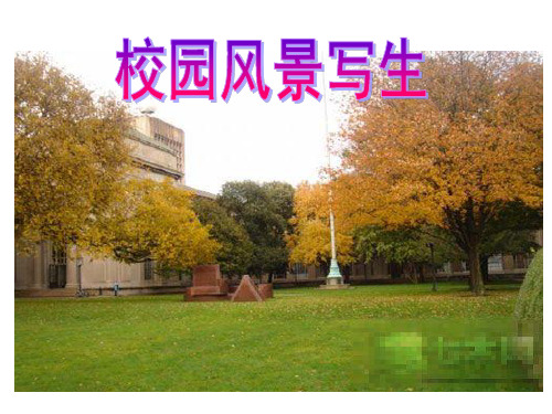 初中美术校园风景写生1