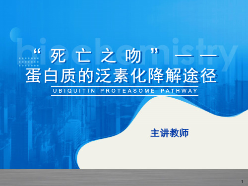 蛋白质的泛素化降解途径.pptx