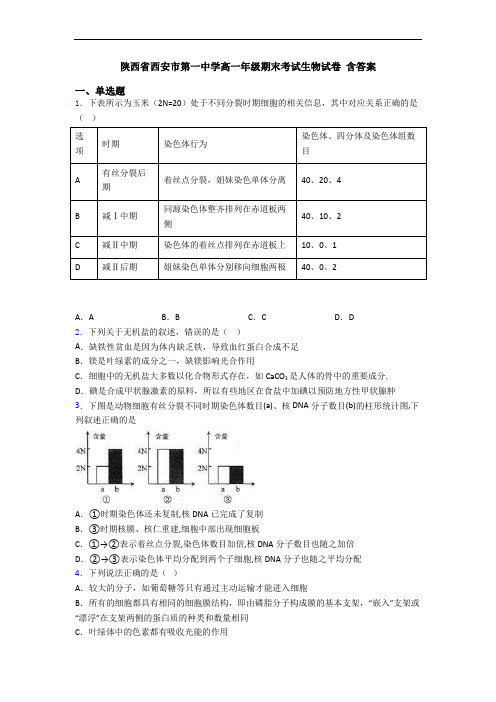 陕西省西安市第一中学高一年级期末考试生物试卷 含答案