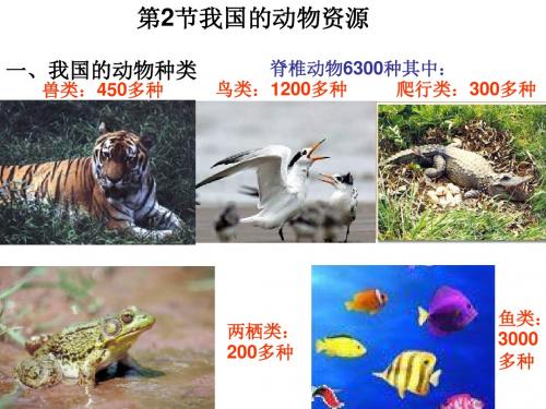 八年级生物我国动物资源的保护