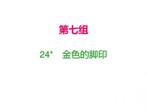 2019-六年级上册语文课件-24  金色的脚印｜人教新课标(含答案) (共13张PPT)-文档资料
