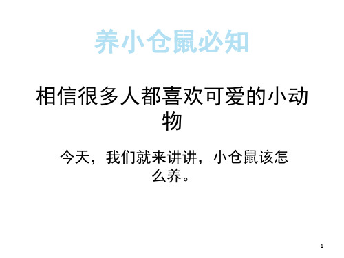 养小仓鼠须知事件-文档资料