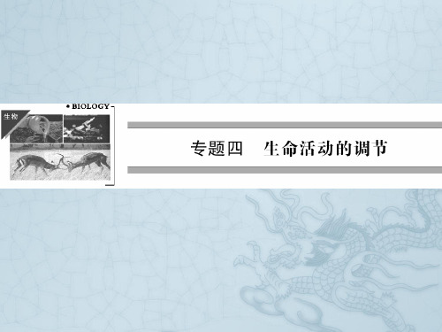 高考生物二轮专题突破课件第9讲 人和动物生命活动调节(55张PPT)