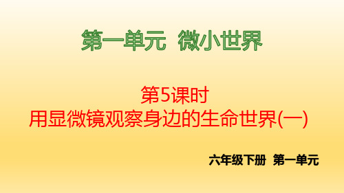 《用显微镜观察身边的生命世界》小学六年级下册科学(教科版)