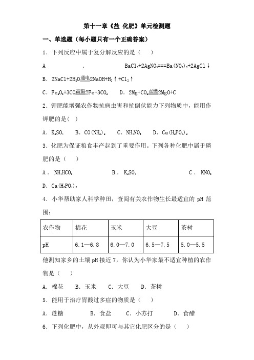 (名师整理)化学九年级下册第十一章《盐 化肥》单元检测试题(含答案) 