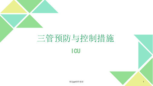 三管得预防与控制措施PPT课件