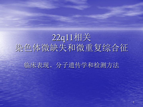 22q11微缺失和微重复综合征