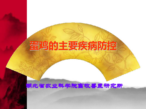 蛋鸡的主要疾病防控