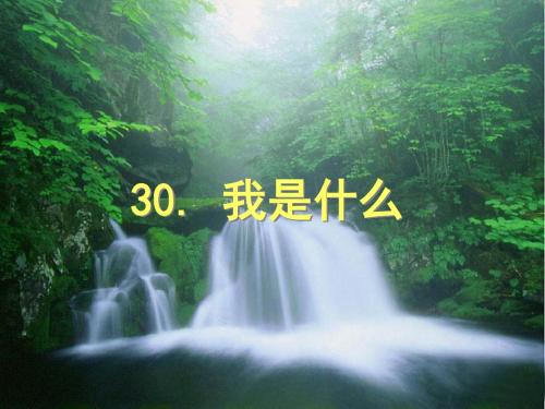 30二年级语文课件《我是什么》(1)