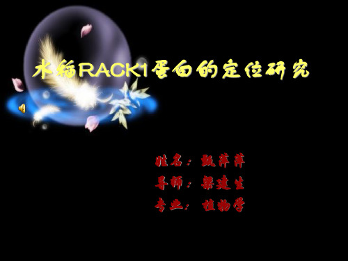 水稻RACK1蛋白的定位研究解读