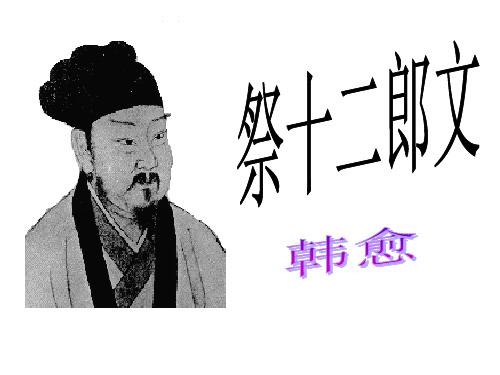 祭十二郎文教学PPT课件(人教版(新课程标准))