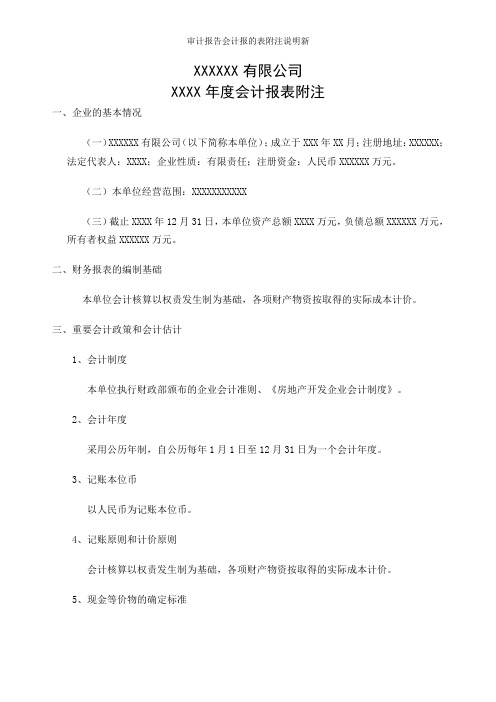 审计报告会计报的表附注说明新