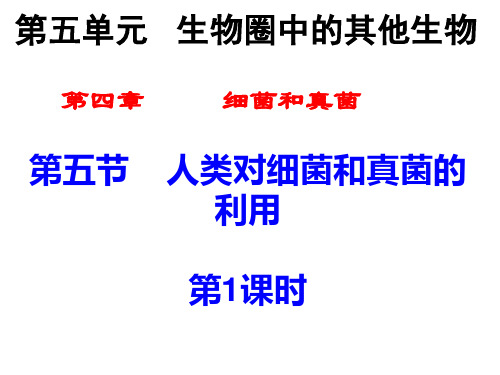 初中生物人教版八年级上册第五节 人类对细菌和真菌的利用