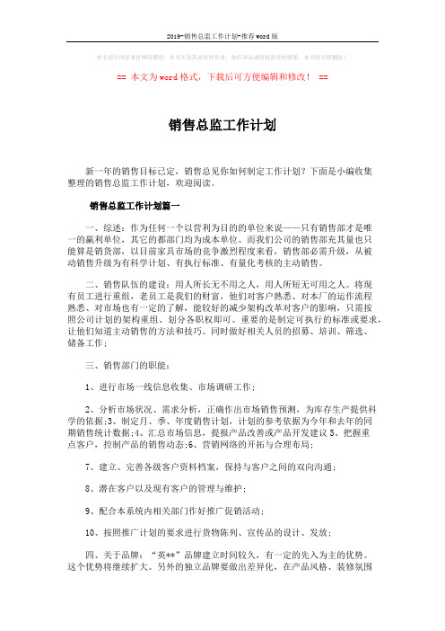 2019-销售总监工作计划-推荐word版 (7页)