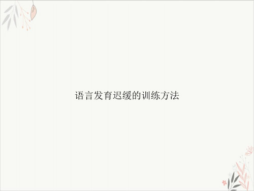 语言发育迟缓的训练方法课件-PPT