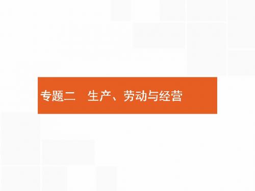 人教版2018高考政治第二轮总复习课件：专题2 生产、劳动与经营