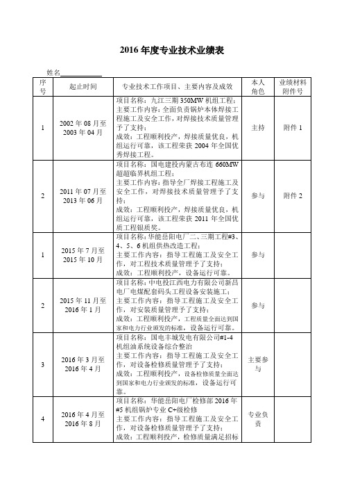 2016年度技术业绩与成果表模板