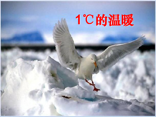 1摄氏度的温暖