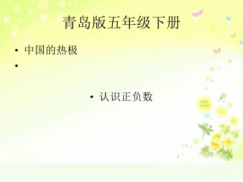 青岛小学数学五下中国的热极认识正负数PPT课件 (3)