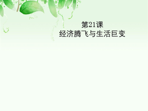 第21课经济腾飞与生活巨变