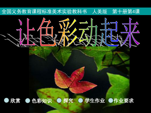 五年级下册美术课件-4 让色彩动起来｜人美版(2014秋) (共16张PPT)