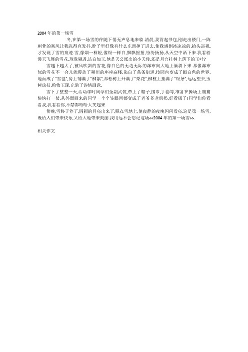 2004年的第一场雪