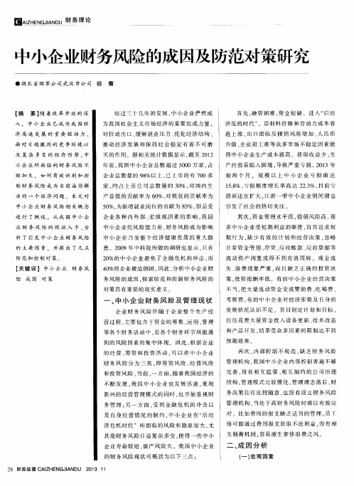 中小企业财务风险的成因及防范对策研究