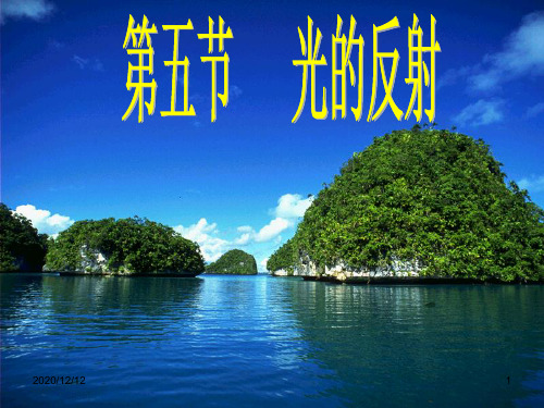光的反射优质课 ppt课件