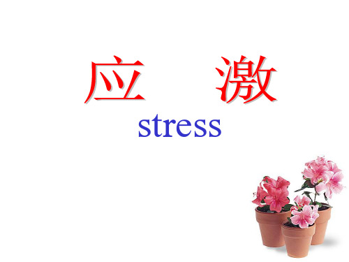 10应激PPT课件