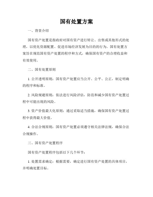 国有处置方案