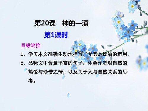 神的一滴PPT教学课件