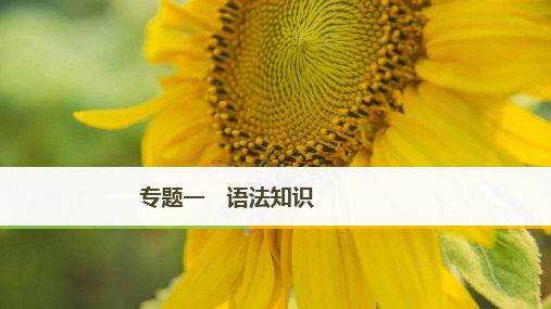 2019年高考英语天津专用二轮增分策略实用ppt课件：专题一语法知识第1讲