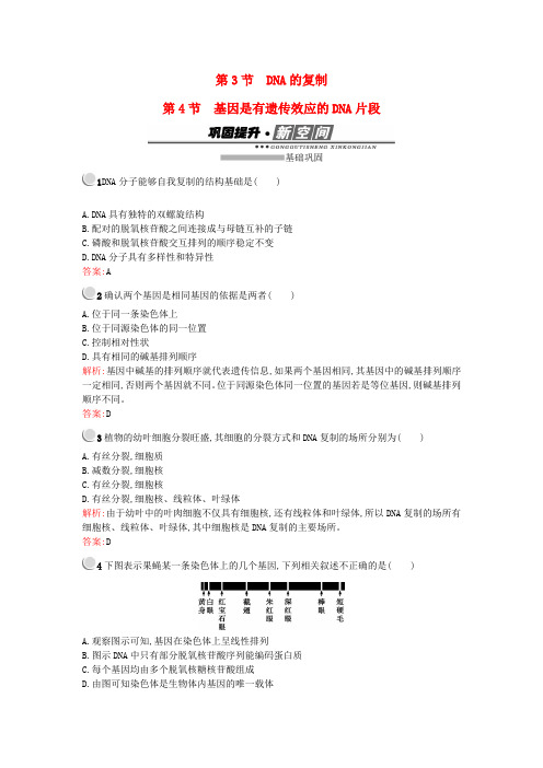 2017-2018学年高中生物 第3章 基因的本质 3.3 DNA的复制 3.4 基因是有遗传效