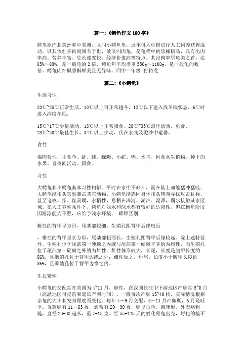 关于鳄龟的作文
