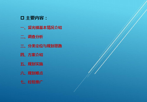 16 封丘县留光镇总体规划(2013-2030)