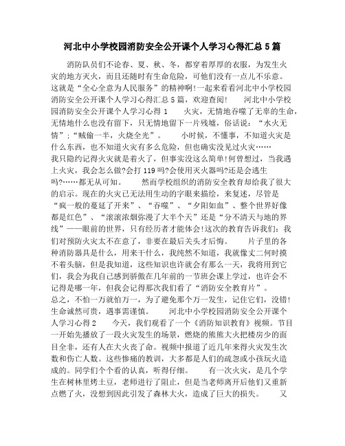 河北中小学校园消防安全公开课个人学习心得汇总5篇
