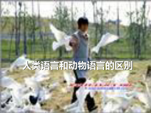 人类语言和动物语言区别