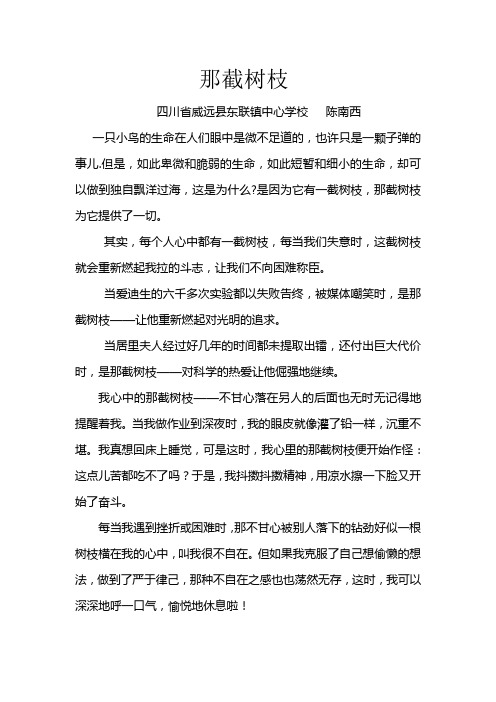 那截树枝