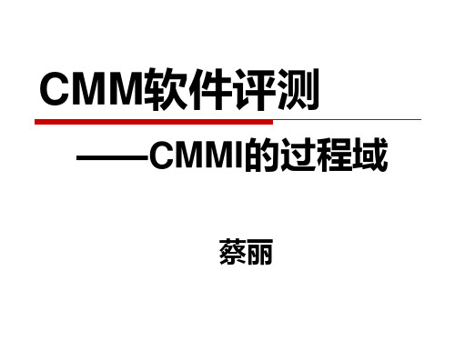 cmmi的过程域 ppt课件