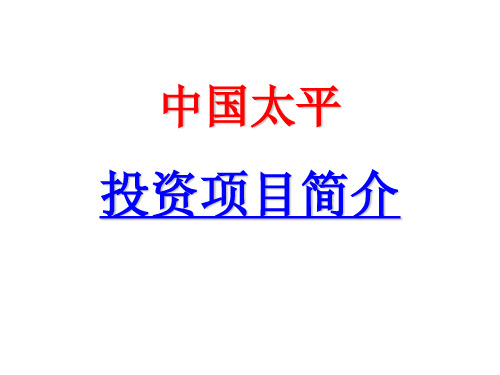 投资项目简介