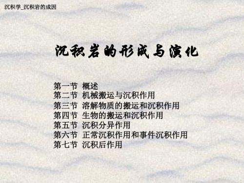 沉积岩形成与演化