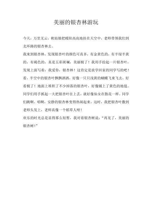 三年级写景美丽的银杏林游玩