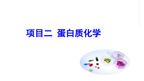 电子教案与课件：《生物化学》教学PPT 2 项目二 蛋白质化学
