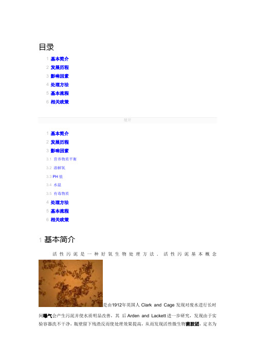 活性污泥及各种因素对其的影响
