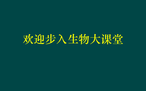 苏科版 生物 七年级上册 课件 第3章 生物系统和生物圈 第2节 生物生存的家园-生物圈