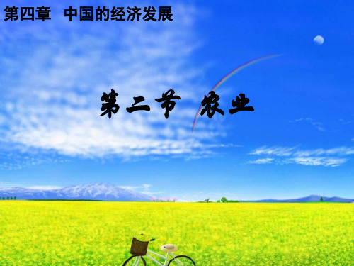人教版八年级地理上册  4.2 农业 课件   