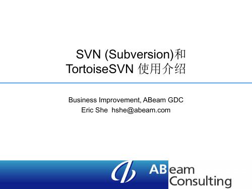 SVN使用说明